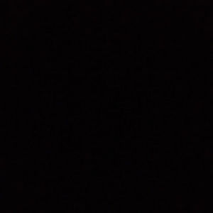 Meet your Posher, Connie